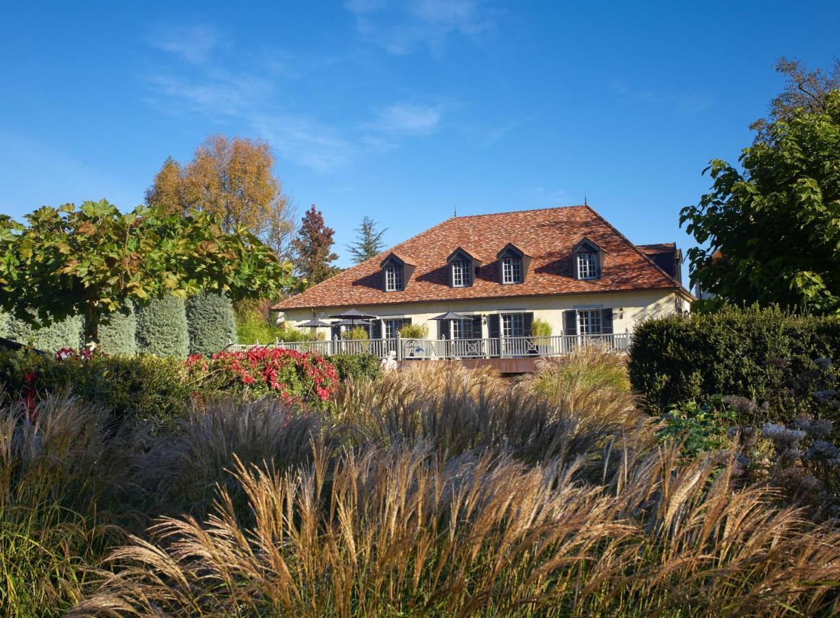 Chateau De Germigney Port-Lesney Esterno foto
